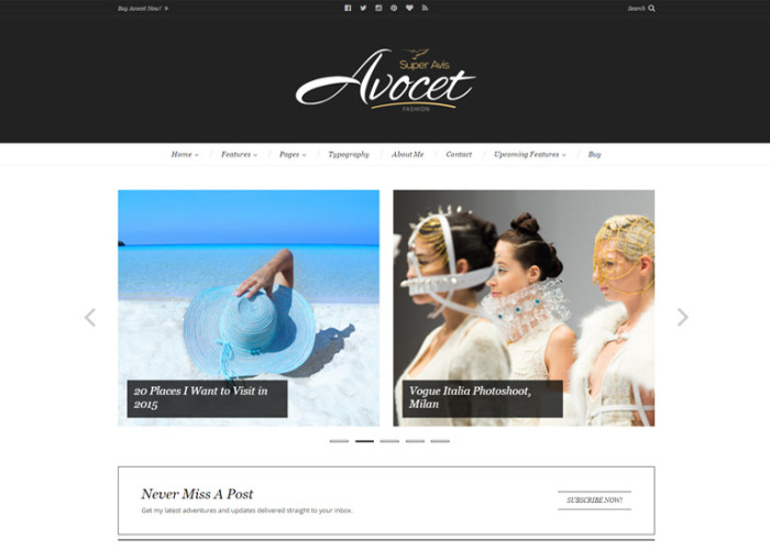 Avocet – Premium Responsive WordPress Blog Theme