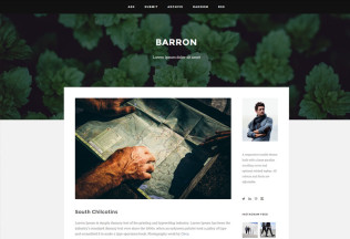 Barron – Premium Responsive Content Focus Tumblr Theme