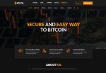 Bayya – Premium Responsive Bitcoin CryptoCurrency HTML5 Template