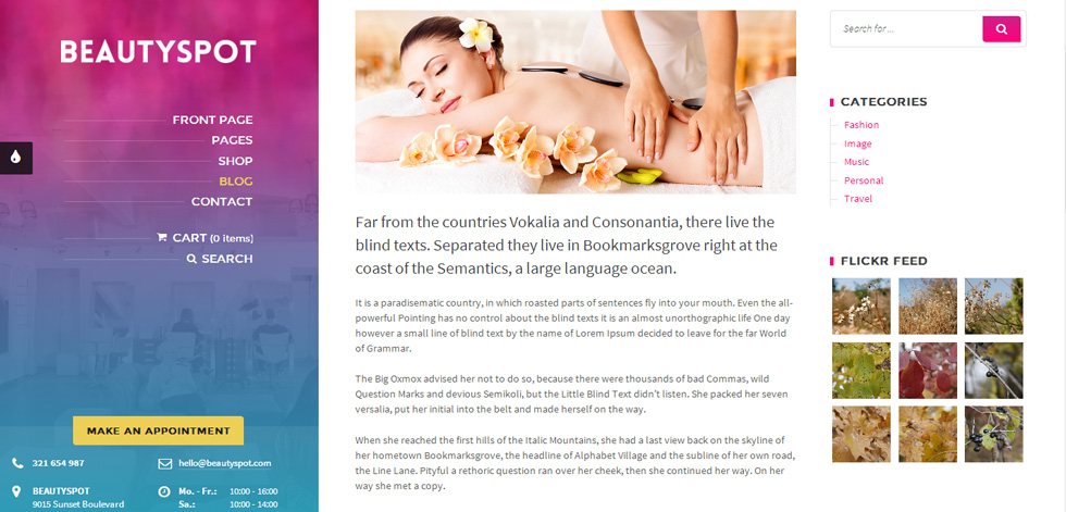 Blog post page