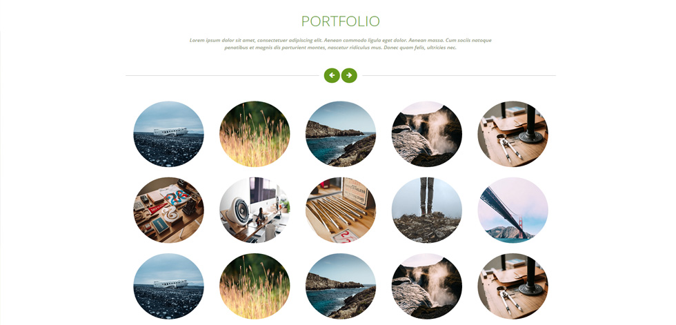 Portfolio