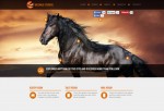 Big Smile – Premium Multipurpose Muse Template