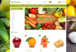 BigBazaar – Premium Responsive Multipurpose Ecommerce WordPress Theme