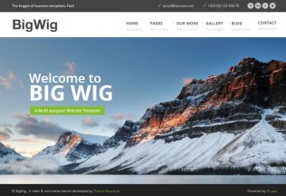BigWig – Premium Responsive Corporate Drupal Theme