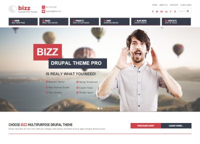 5+ Best Responsive Drupal Themes with Flat Design in 2015