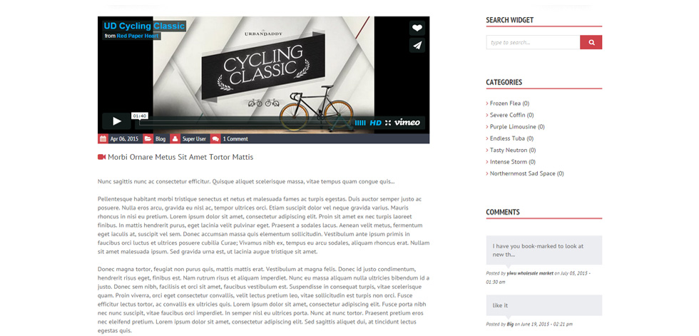 Blog post page