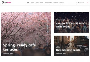 BitNews – Premium Responsive Blog Magazine & News Portal WordPress Theme