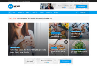 Bitz – Premium Responsive News and Publishing WordPress Theme