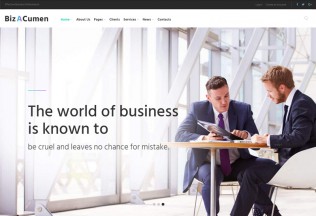BizACumen – Premium Responisve Consulting WordPress Theme