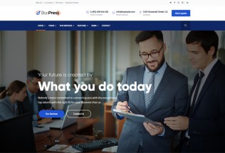 BiziPress – Premium Responsive Finance & Insurance WordPress Theme