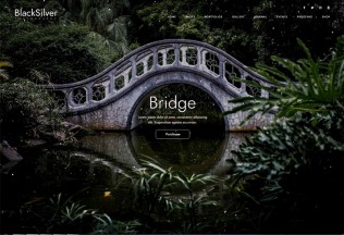 Blacksilver – Premium Responsive Photography WordPress Theme