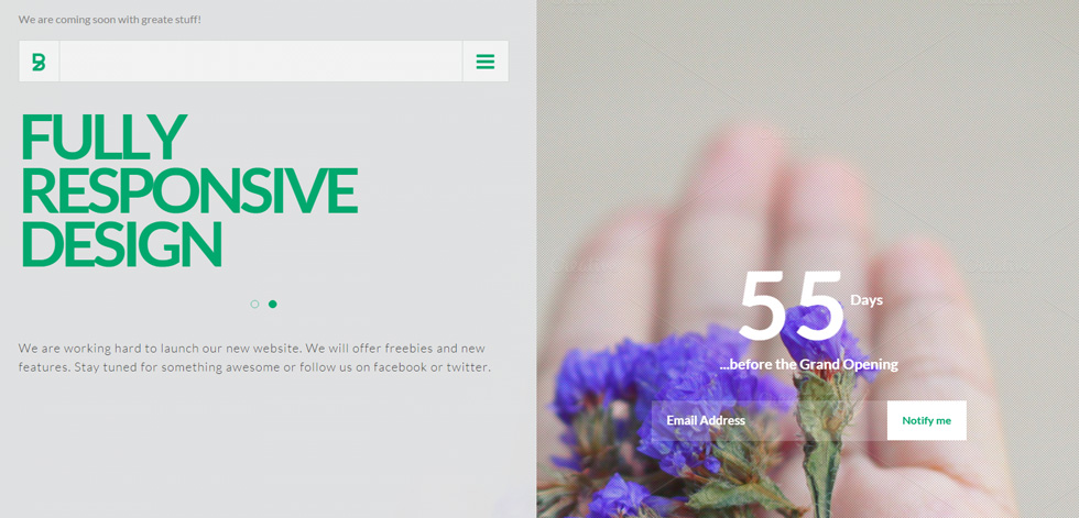 Home page