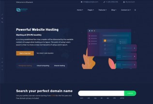 Bluerack – Premium Responsive Modern Hosting WordPress Theme