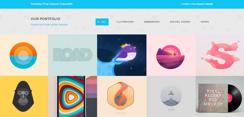 Portfolio