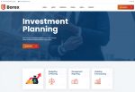Borex – Premium Responsive Business Consulting Drupal 9 Theme