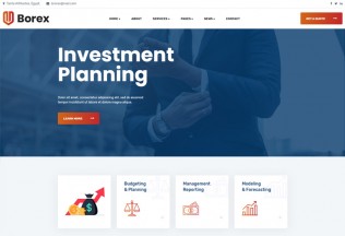 Borex – Premium Responsive Business Consulting Drupal 9 Theme