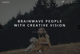 Brainwave – Premium Responisve Multipurpose One/Multi Page HTML5 Template