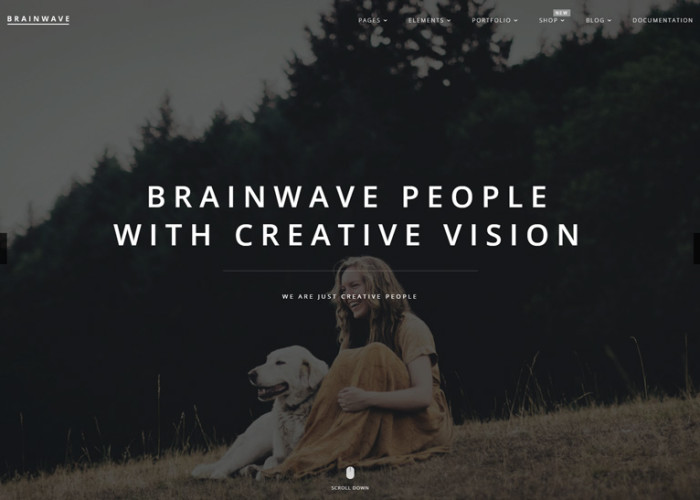 Brainwave – Premium Responisve Multipurpose One/Multi Page HTML5 Template