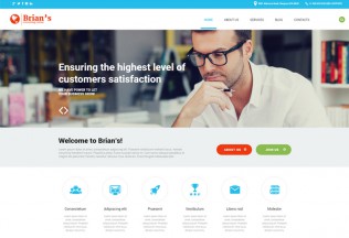 Brian’s – Premium Responsive Consulting Agency WordPress Theme