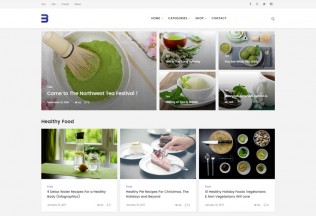 Buggy – Premium Responsive Magazine and Blog WordPress Theme