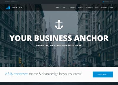 50+ Best Responsive HTML5 Business Templates 2015