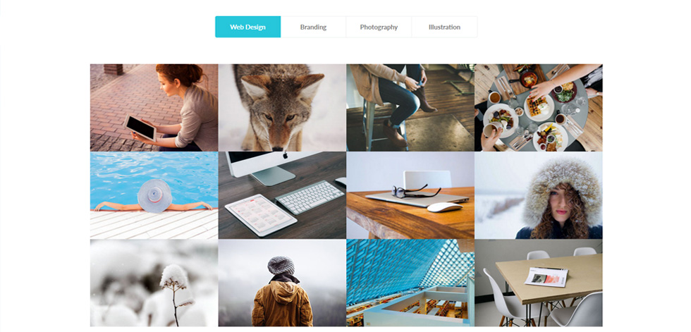 Portfolio