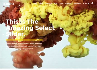 5+ Best Responsive WordPress Themes that use SVG graphics in 2015