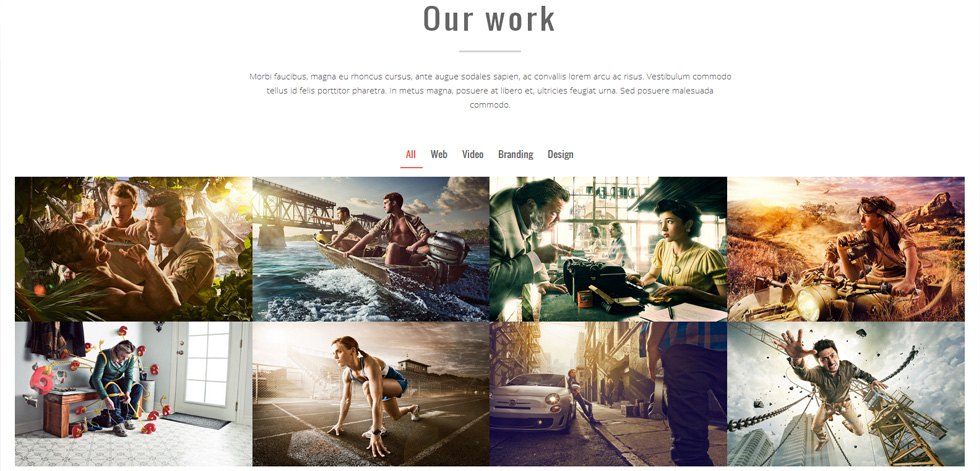 Portfolio