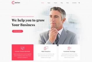Castor – Premium Responsive Business Consulting WordPress Theme