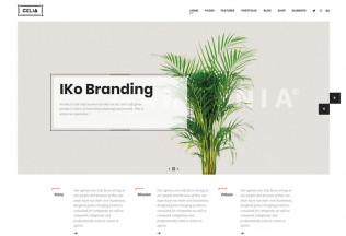 Celia – Premium Responsive Portfolio Drupal 8 Theme