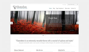 Optimised for Desktop