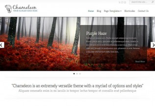 Chameleon – WordPress Premium Responsive Theme