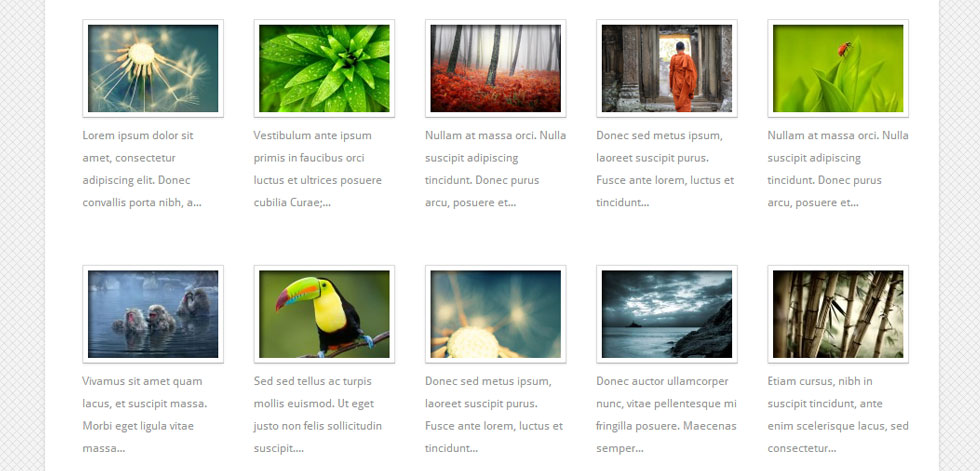 Portfolio