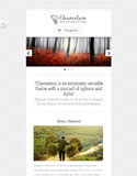 Optimised for Tablet