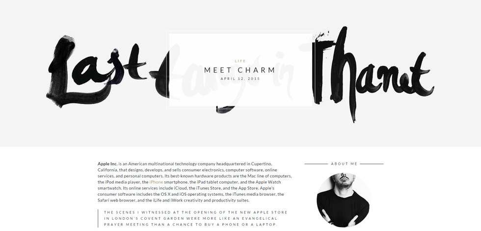 Blog post page