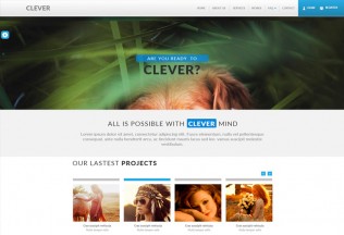Clever – Premium Muse Template