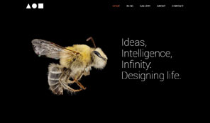 Optimised for Desktop