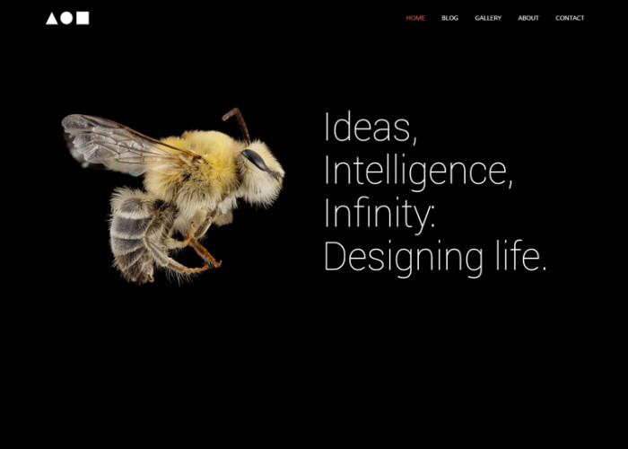 Colors Creative – Premium Responsive Portfolio WordPress Theme