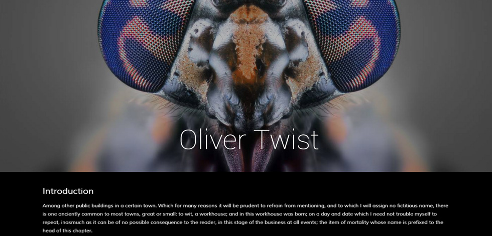 Blog post page