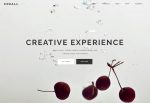Conall – Premium Responsive Beautiful Multipurpose WordPress Theme