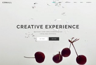 Conall – Premium Responsive Beautiful Multipurpose WordPress Theme
