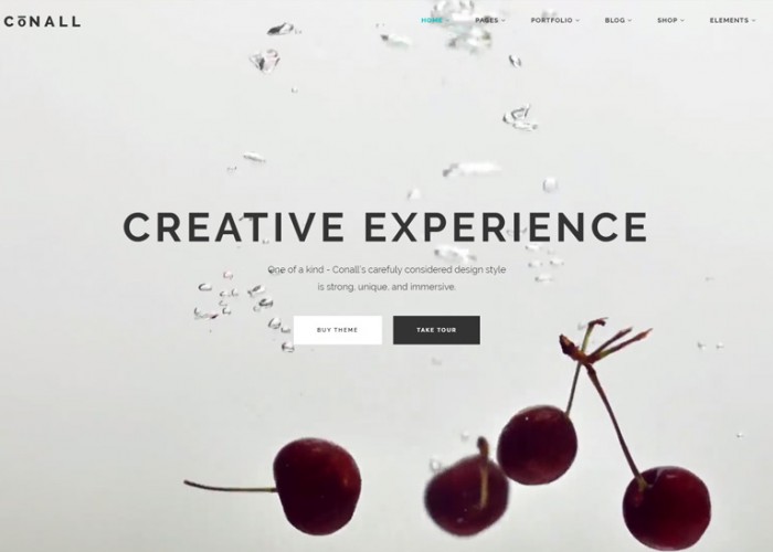 Conall – Premium Responsive Beautiful Multipurpose WordPress Theme