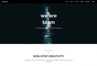 Conceito – Premium Responsive One Page Muse Template