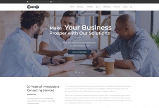 Consor – Premium Responsive Business Consulting WordPress Theme