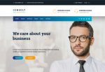 Consult Expert – Premium Responsive Finance WordPress Theme