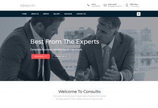 Consulto – Premium Responsive Consulting & Business WordPress Theme