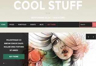 Cool Stuff – Premium Responsive Blog & Magazine WordPress Theme