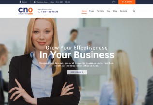 Councilio – Premium Responsive Financial Consulting WordPress Theme