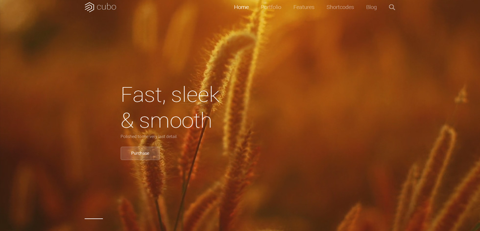 Home page
