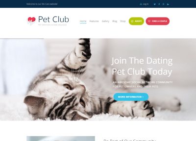 4 Best WordPress Dating Themes